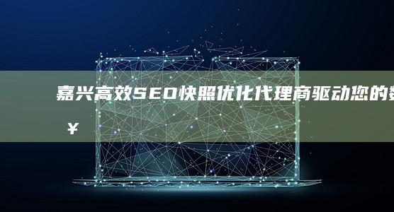 嘉兴高效SEO快照优化代理商：驱动您的数字营销新趋势